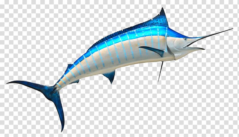 Swordfish Marlin, fish transparent background PNG clipart