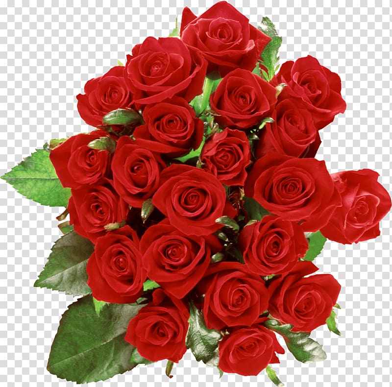 red rose bouquet, Bouquet Of Roses transparent background PNG clipart