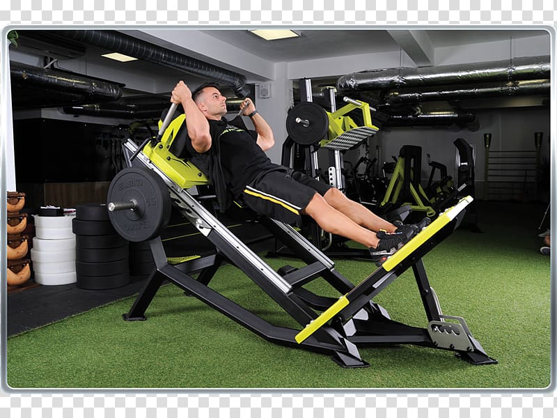 Fitness Centre Exercise machine Physical fitness Sports training, gym squats transparent background PNG clipart