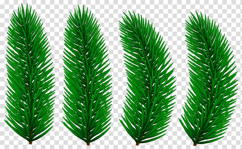 Silver , pine branches buckle clip free transparent background PNG clipart