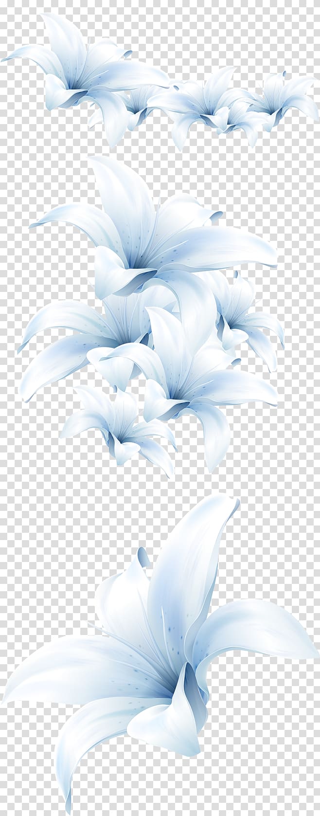 Flower Madonna Lily Petal Portable Network Graphics, flower transparent background PNG clipart