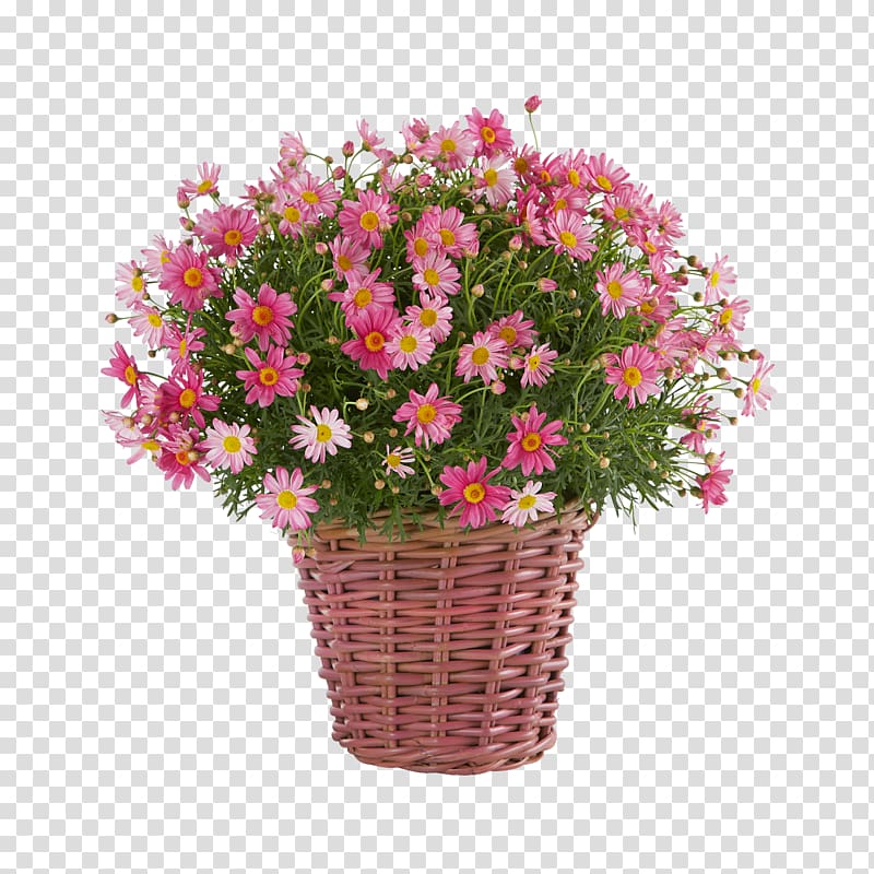 Floral design Blume Garden Cut flowers Flowerpot, flower transparent background PNG clipart