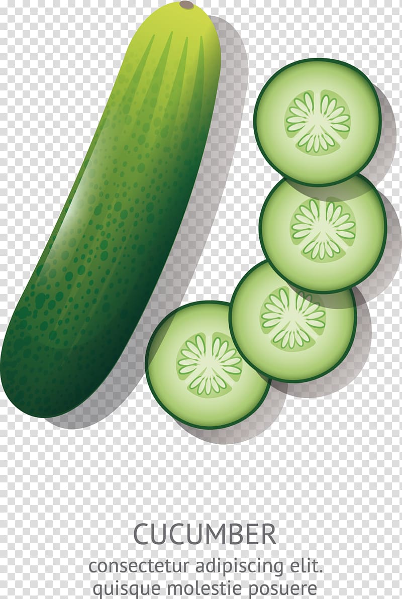 cucumber illustration, Cucumber Cartoon Animation Drawing, cucumber transparent background PNG clipart