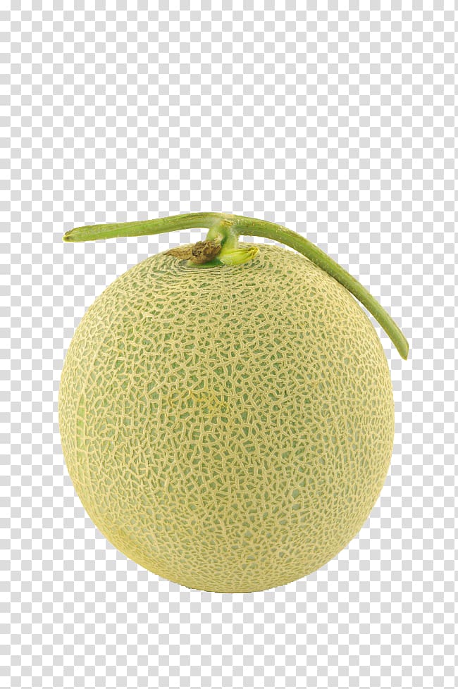 yellow-and-green cantaloupe fruit, Hami melon Honeydew Cantaloupe, Melon transparent background PNG clipart
