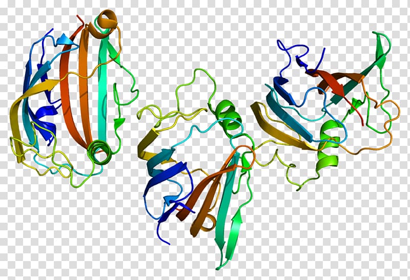 GM2A Activator Protein Data Bank Ganglioside, others transparent background PNG clipart