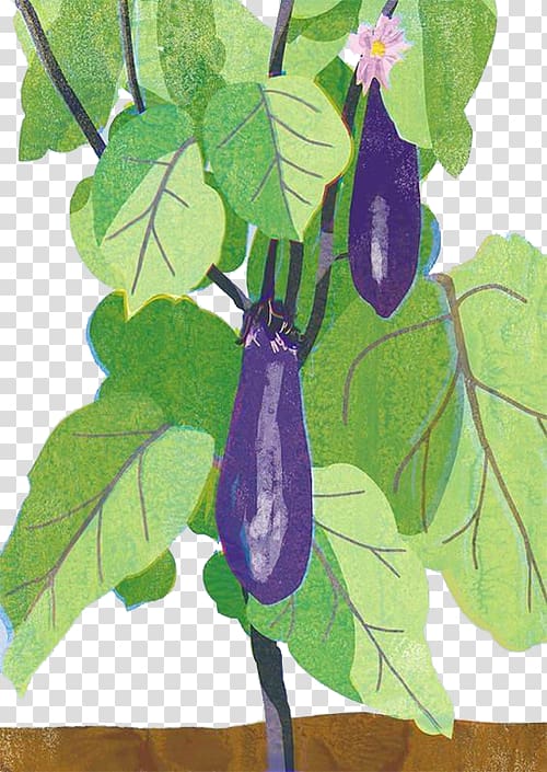 Japan Eggplant Art Drawing Illustration, Purple eggplant transparent background PNG clipart