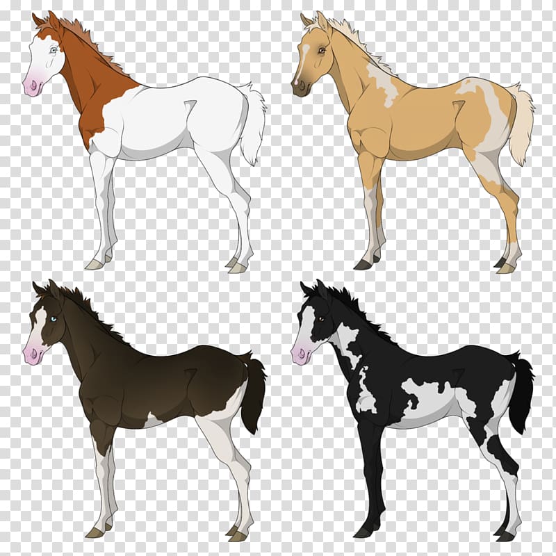 Mustang Foal Colt Stallion Donkey, chestnut thoroughbred transparent background PNG clipart