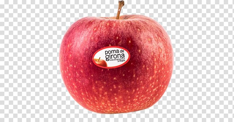 Poma de Girona Apple Adierazpen geografiko babestua Accessory fruit Denominación de origen, apple transparent background PNG clipart