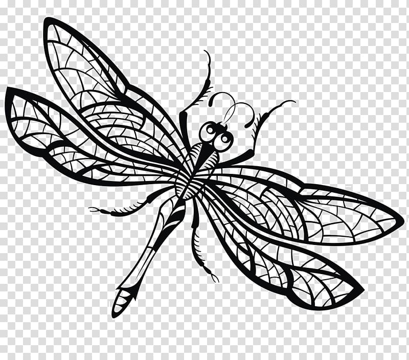 Drawing Dragonfly Illustration, Dragonfly Creative transparent background PNG clipart