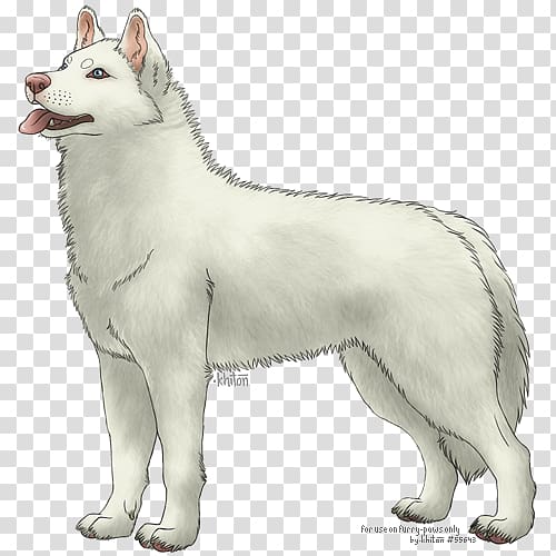 Saarloos wolfdog Canadian Eskimo dog Alaskan Malamute Korean Jindo West Siberian Laika, Siberian husky transparent background PNG clipart