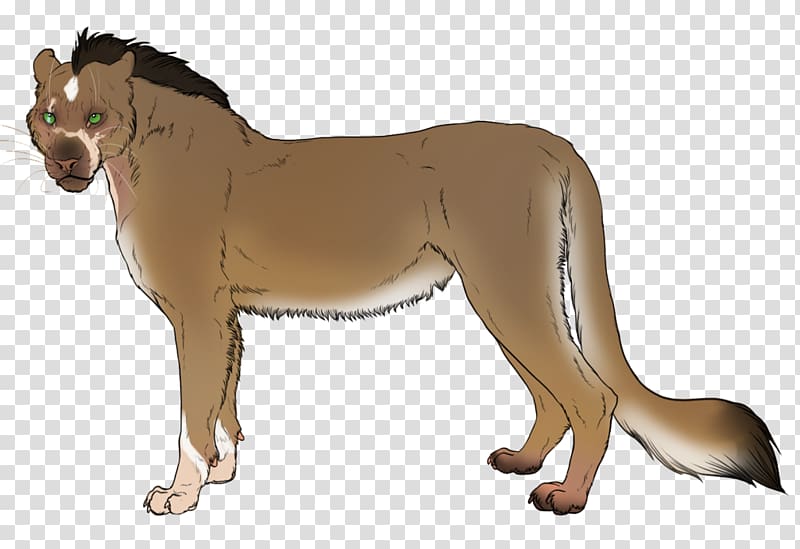 Lykoi Dog breed Lion, classical shading transparent background PNG clipart