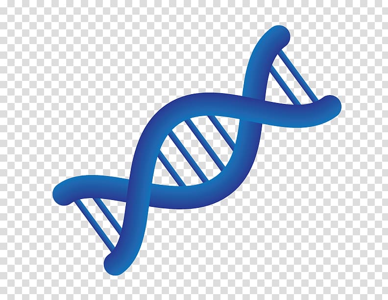 Medical genetics Personalized medicine Chromosome, others transparent background PNG clipart