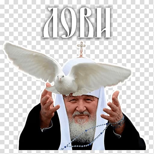 Patriarch Kirill of Moscow Sticker Telegram VKontakte, a priest transparent background PNG clipart
