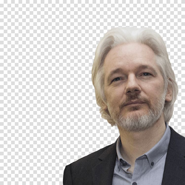 Julian Assange WikiLeaks Ecuador Internet activism 2016 Democratic National Committee email leak, Julien 20 transparent background PNG clipart
