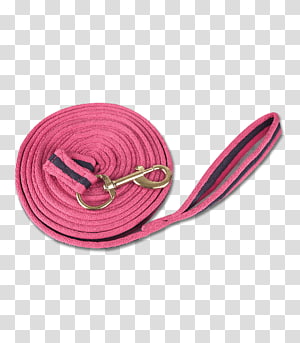 Horse Longeing Unicorn Pony Lonž, horse transparent background PNG clipart thumbnail