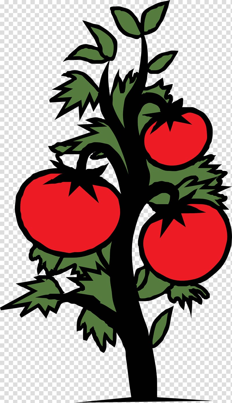 Cherry tomato Vegetable Plant , tomato transparent background PNG clipart