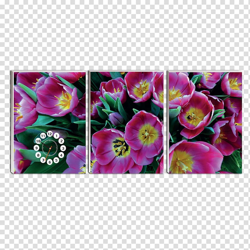 Petal Tulip Flower Blume Peony, tulip transparent background PNG clipart