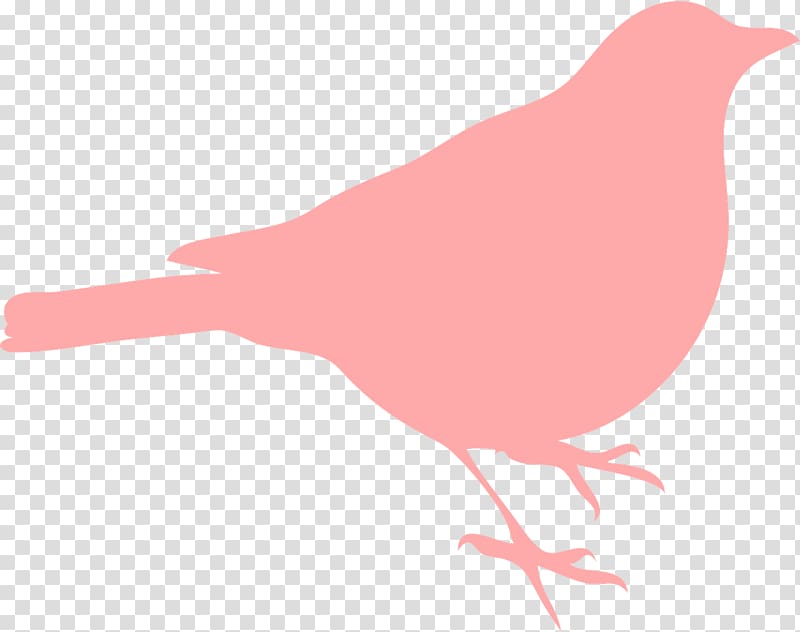 Bird Northern cardinal , birds transparent background PNG clipart