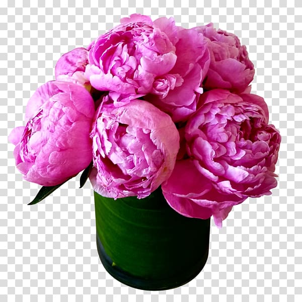Peony Flower bouquet Garden roses Cut flowers, peony transparent background PNG clipart