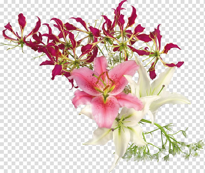 Flower Lilium Stamen , gladiolus transparent background PNG clipart