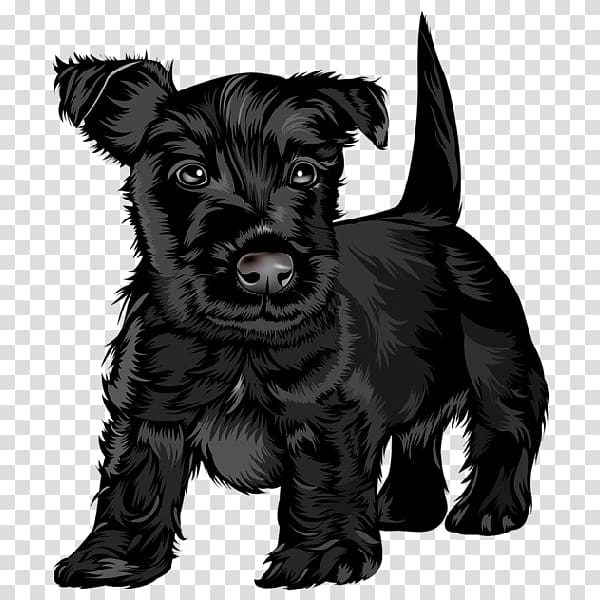 Scottish Terrier Black Russian Terrier Puppy Jack Russell Terrier Cavalier King Charles Spaniel, the dog cartoon animal transparent background PNG clipart