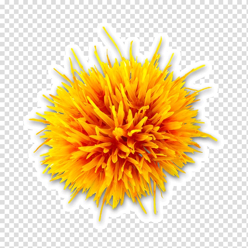 Safflower oil Seed oil, safflower transparent background PNG clipart