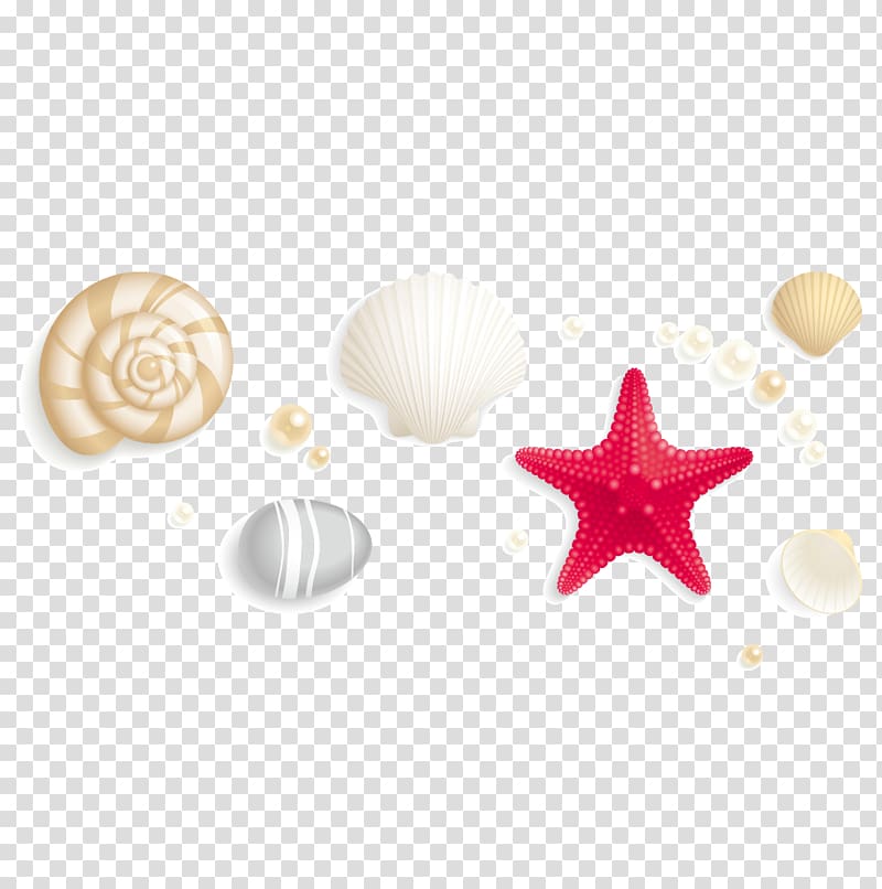 Seashell , Shells and starfish transparent background PNG clipart