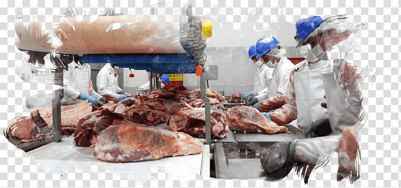 Meat Slaughterhouse Food processing Service, meat transparent background PNG clipart