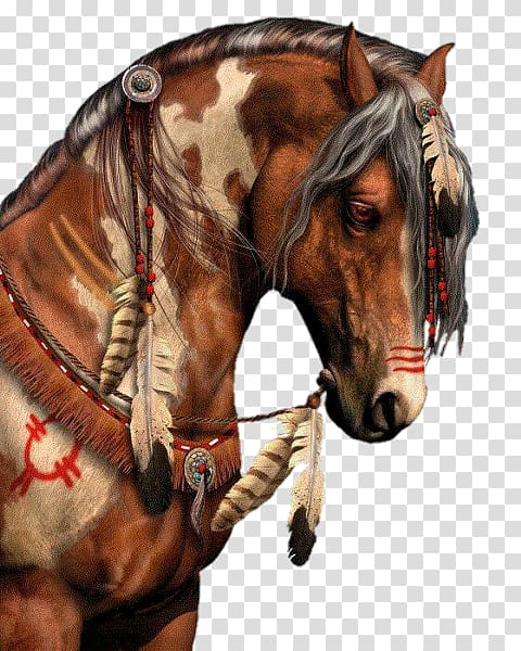 American Paint Horse American Indian Horse American Indian Wars Mustang Pony, mustang transparent background PNG clipart