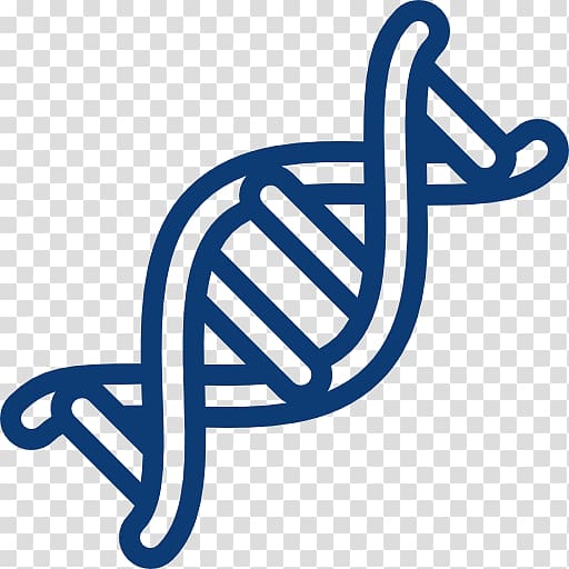 DNA Chromosome Computer Icons Structure Science, double helix transparent background PNG clipart