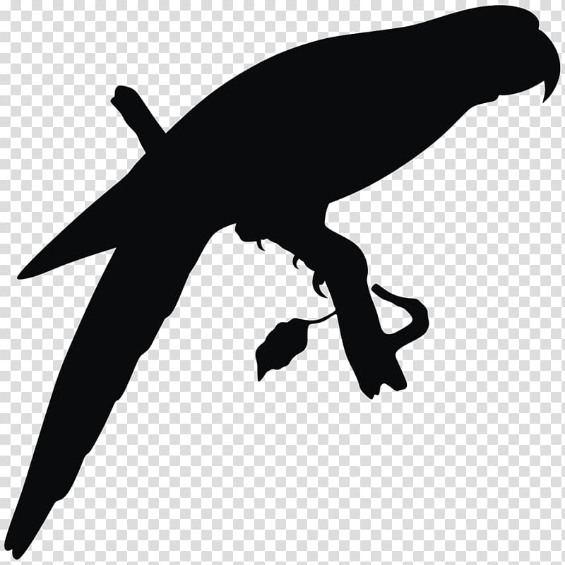 Silhouette Bird Drawing , cockatoo transparent background PNG clipart