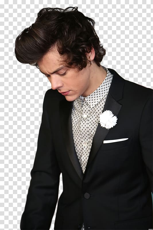 Harry Styles One Direction Harry Potter Fan fiction, one direction transparent background PNG clipart