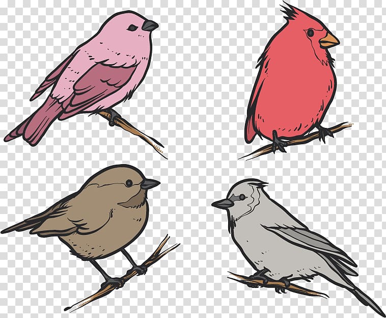 Bird House Sparrow Drawing , Flat four winter birds transparent background PNG clipart