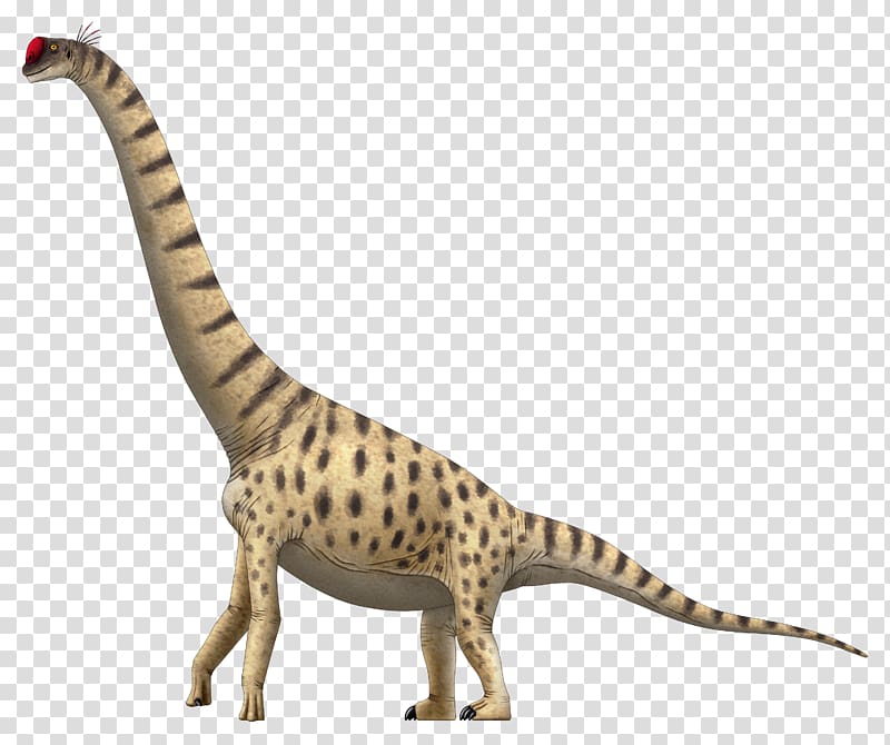 Lapparentosaurus Giraffatitan Chuxiongosaurus Brachiosaurus Apatosaurus, dinosaur transparent background PNG clipart