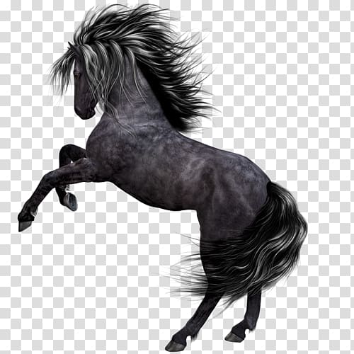 Horse Encapsulated PostScript , Wild Horse transparent background PNG clipart