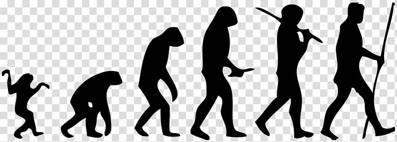 Neandertal March of Progress Homo sapiens Ape Human evolution, evolution transparent background PNG clipart