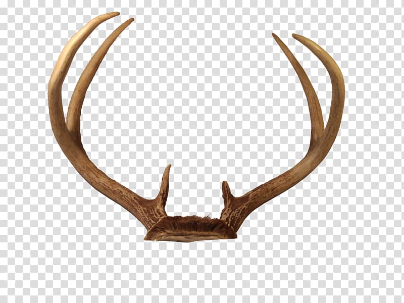 brown antler illustration, Reindeer Horn Antler, Deer Antlers transparent background PNG clipart