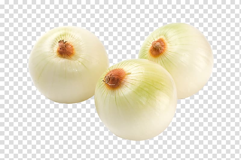 Shallot Vegetable Scallion Carrot, Fresh white onions transparent background PNG clipart