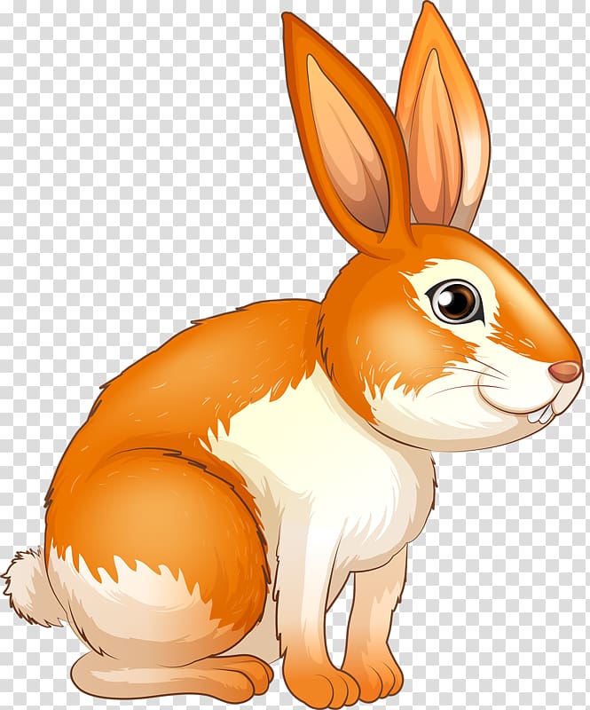 European rabbit Illustration, Cute bunny transparent background PNG clipart