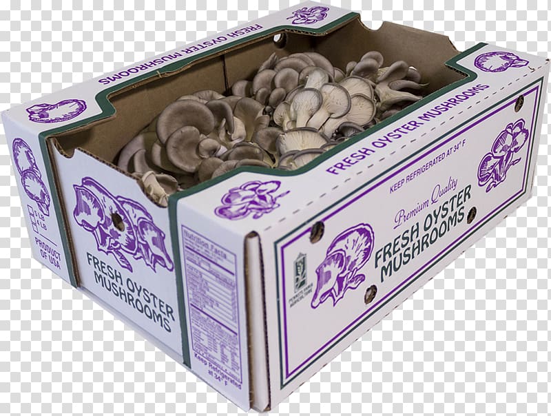 The Oyster Box Hotel Mushroom Quality, hotel transparent background PNG clipart