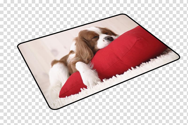 Computer mouse Mousepad Paper Mat, Animal table mat material transparent background PNG clipart