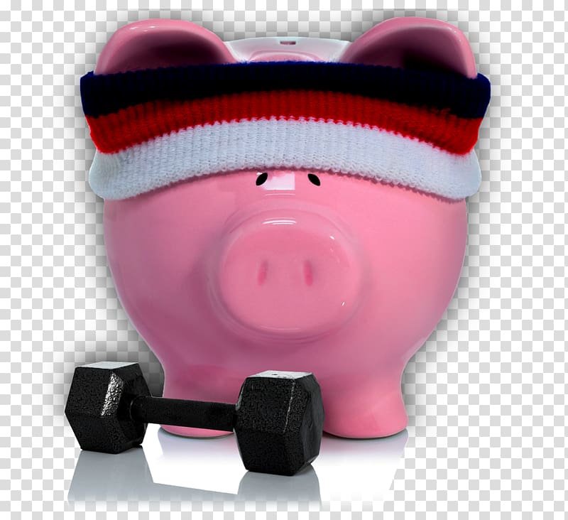 Academy Fibratech, North Garden Money Fitness Centre Budget Price, porco transparent background PNG clipart