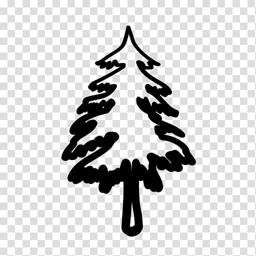 Evergreen Tree Pine , Evergreen Tree transparent background PNG clipart