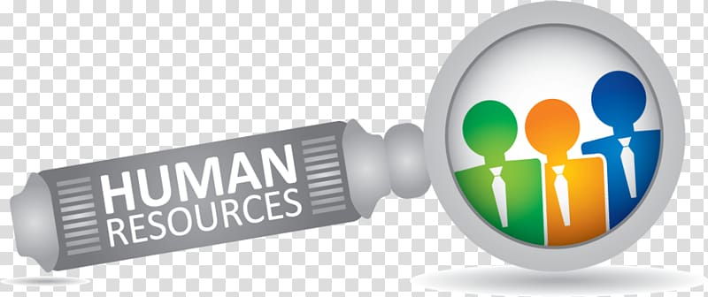 Human resource management Organization, Human Resources transparent background PNG clipart