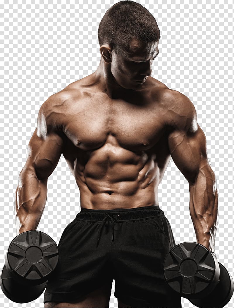 تناسب‌اندام Sport Bodybuilding Mobile Phones, Gym Gloves transparent background PNG clipart