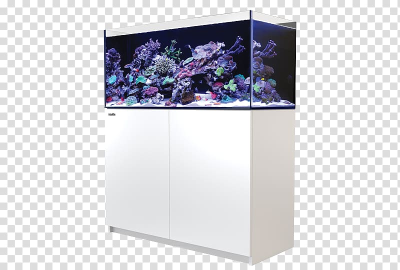 Red Sea Aquariums Reef aquarium, fish tank transparent background PNG clipart