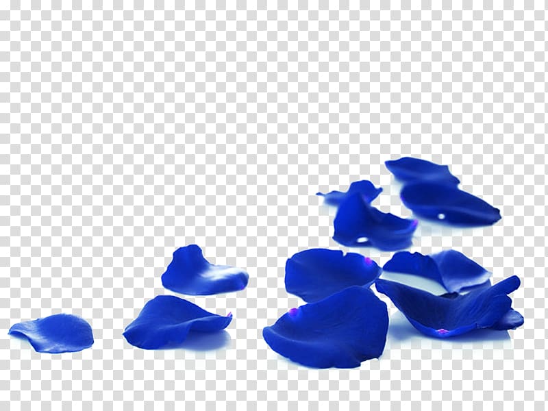 blue petals lot, Rose Petal Red, BLUELOVER rose petals transparent background PNG clipart