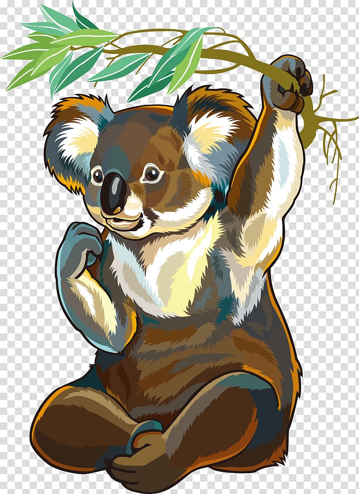 Koala clipart. Watercolor Australian animal clip art.