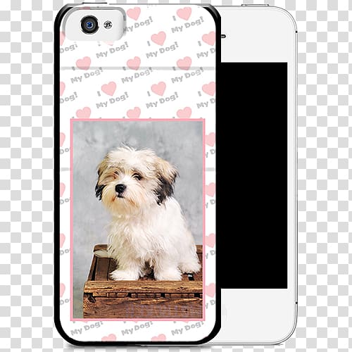 Maltese dog Havanese dog Morkie Shih Tzu Puppy, puppy transparent background PNG clipart