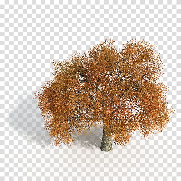 Game tree, Yellow game tree transparent background PNG clipart